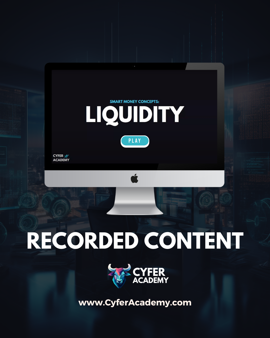 CYFER E-BOOK BUNDLE (INCLUDES FREE MENTORSHIP CONTENT+ DISCORD) – Cyfer ...
